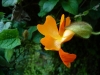Jardin de Val Rameh