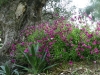 Jardin de Val Rameh