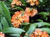 Jardin de Val Rameh