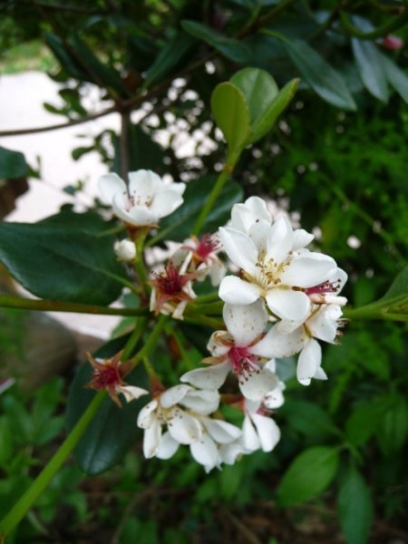 Jardin de Val Rameh