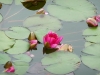 Jardin de Val Rameh