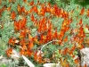 Jardin de Val Rameh