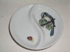 Mésange et coccinelle