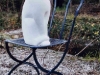 Chat au jardin